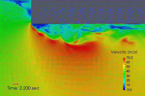 �\��������̗�����